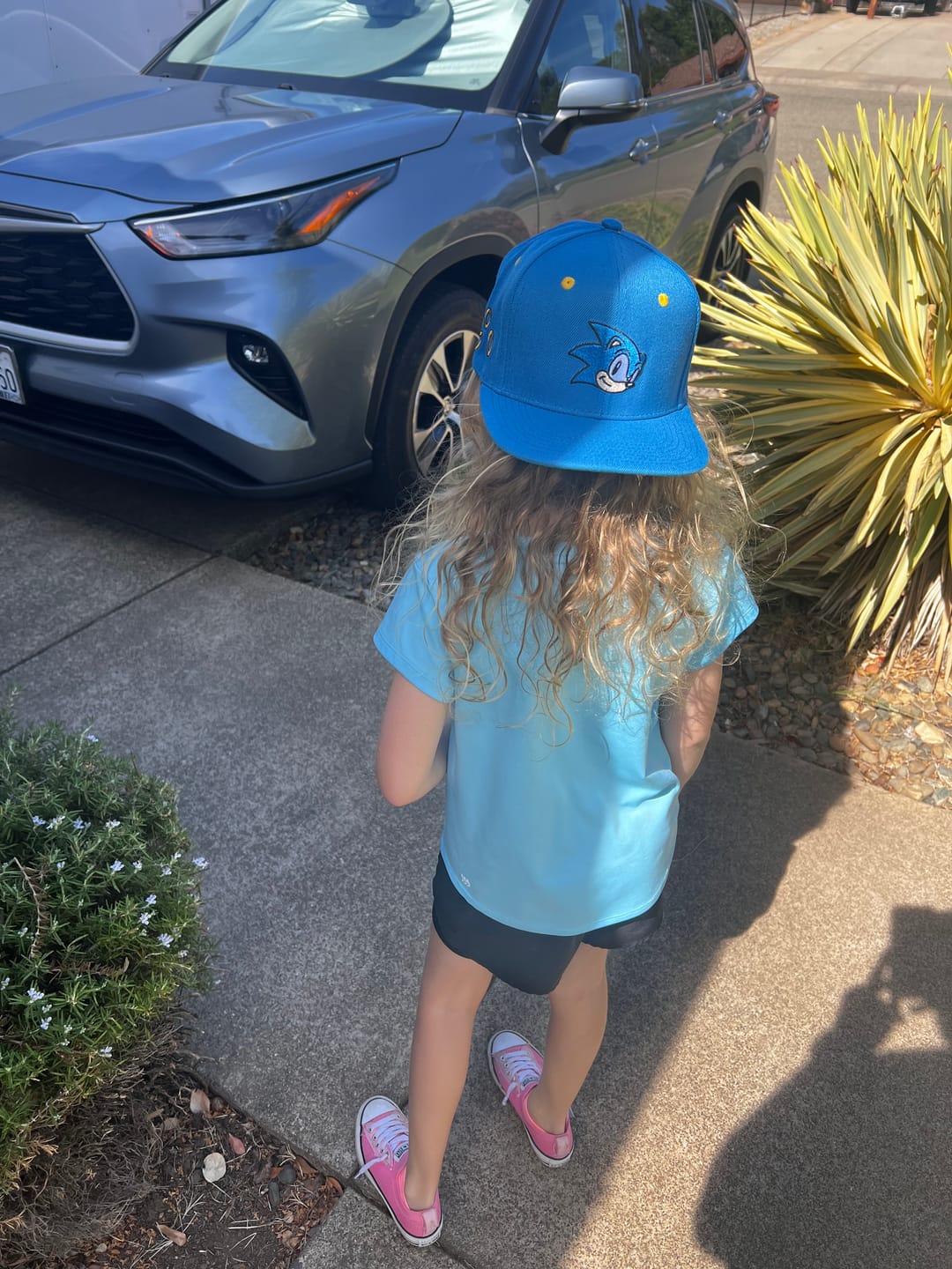 Customer photo review of Sonic the Hedgehog "Hedgehat" – TLB Hat