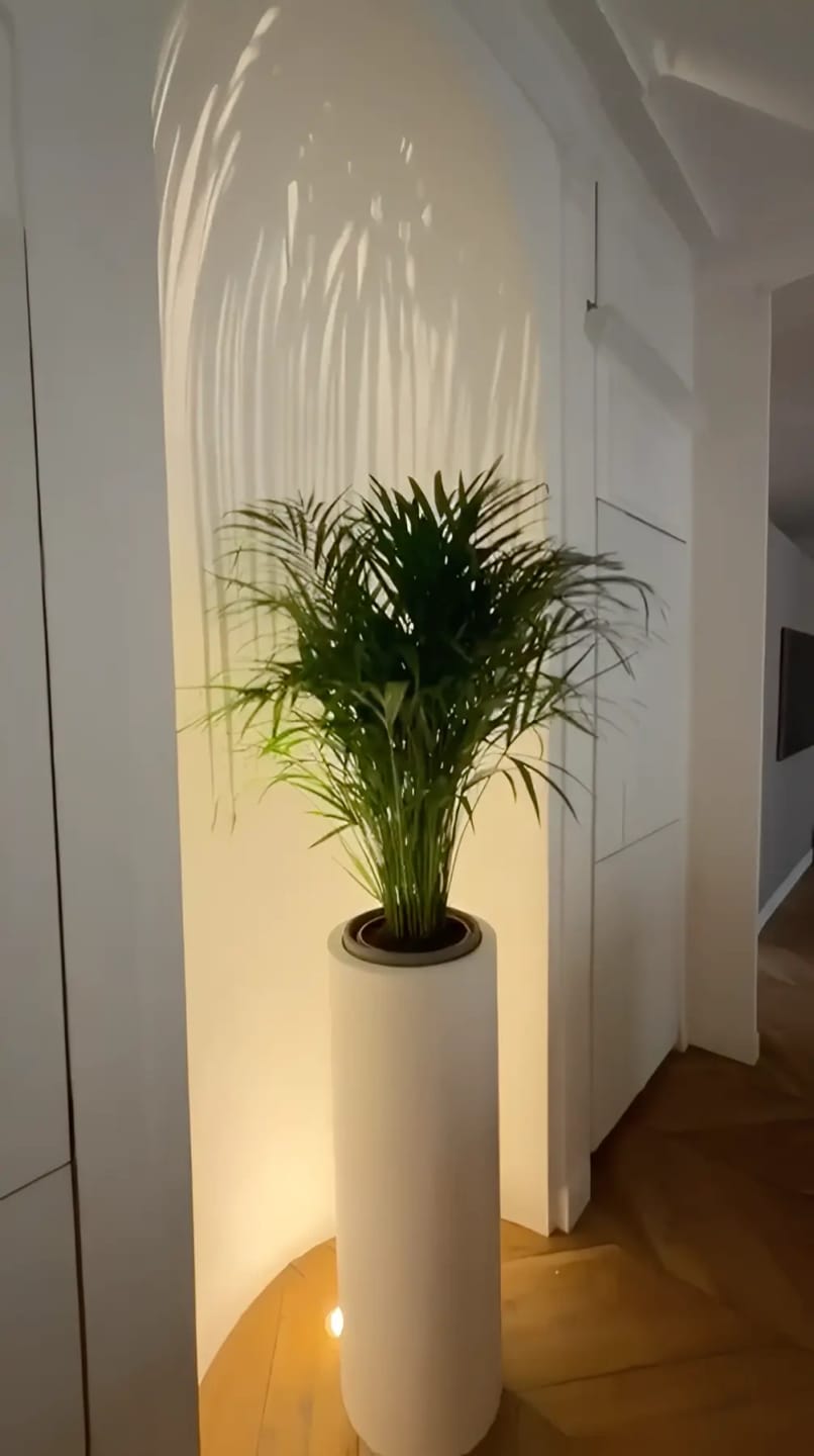 Customer photo review of Pot - Cilindro Alto