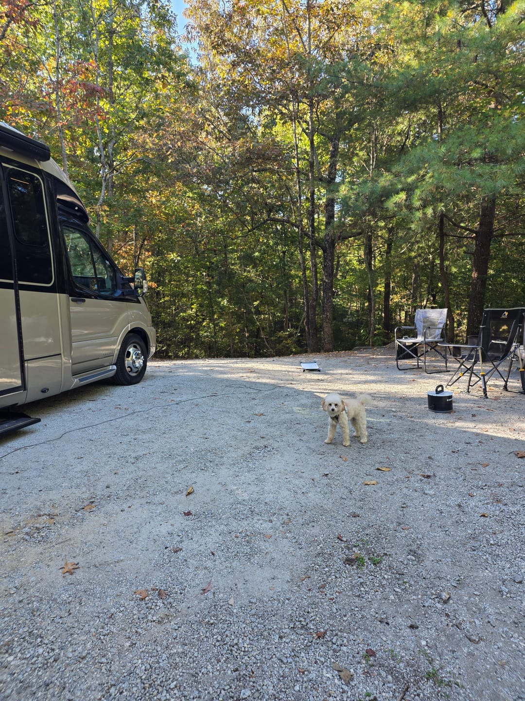 Customer photo review of Pup Stack