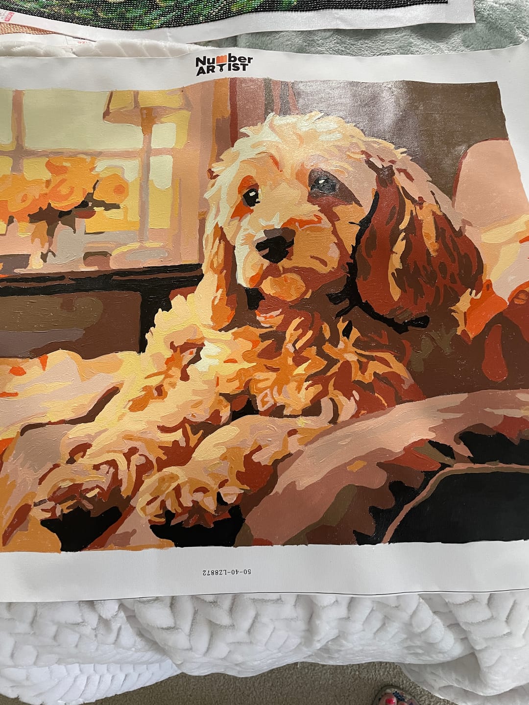 Customer photo review of Couch Cockapoo