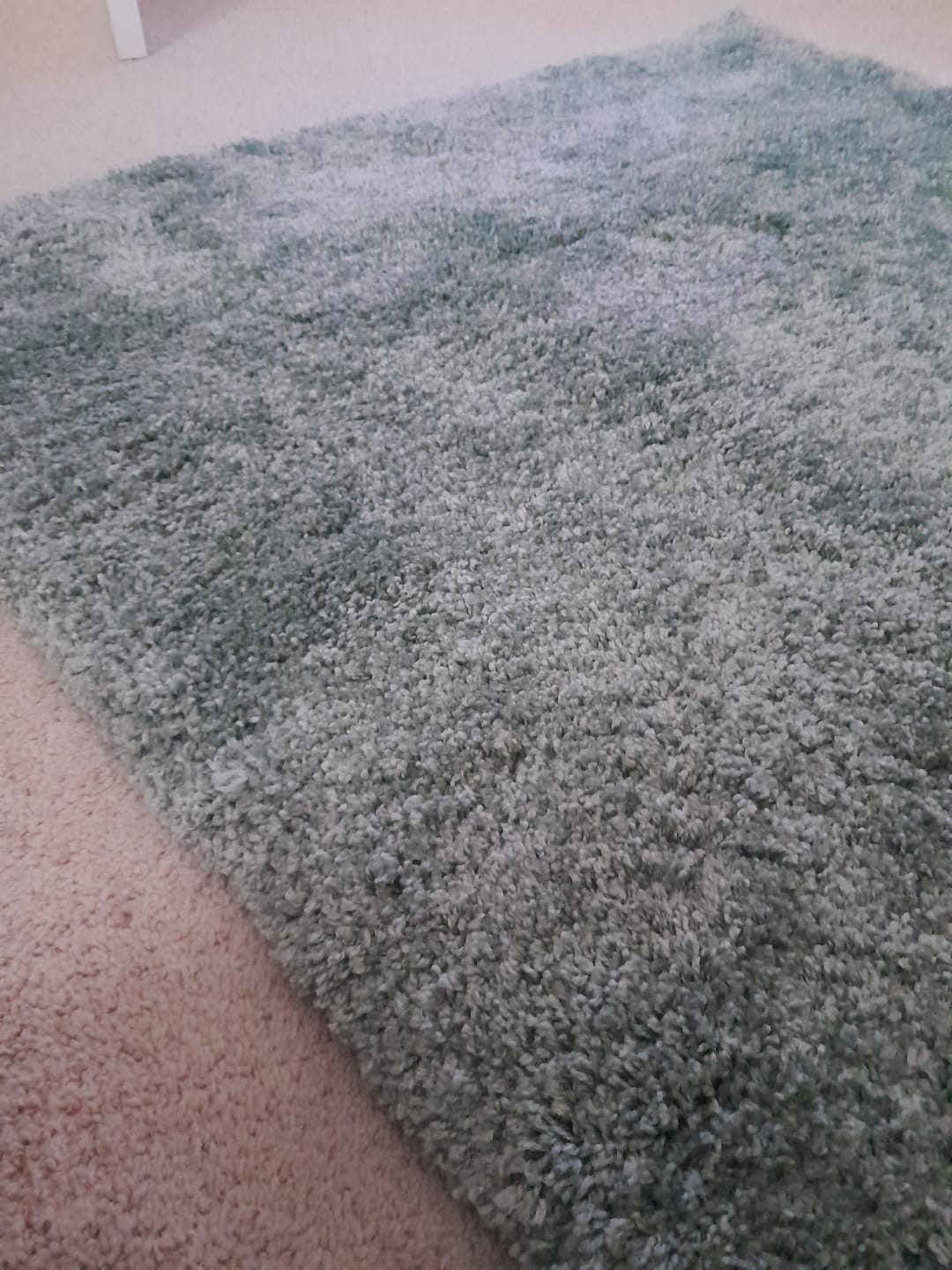 Customer photo review of Atlas 120x170cm Sage Rug