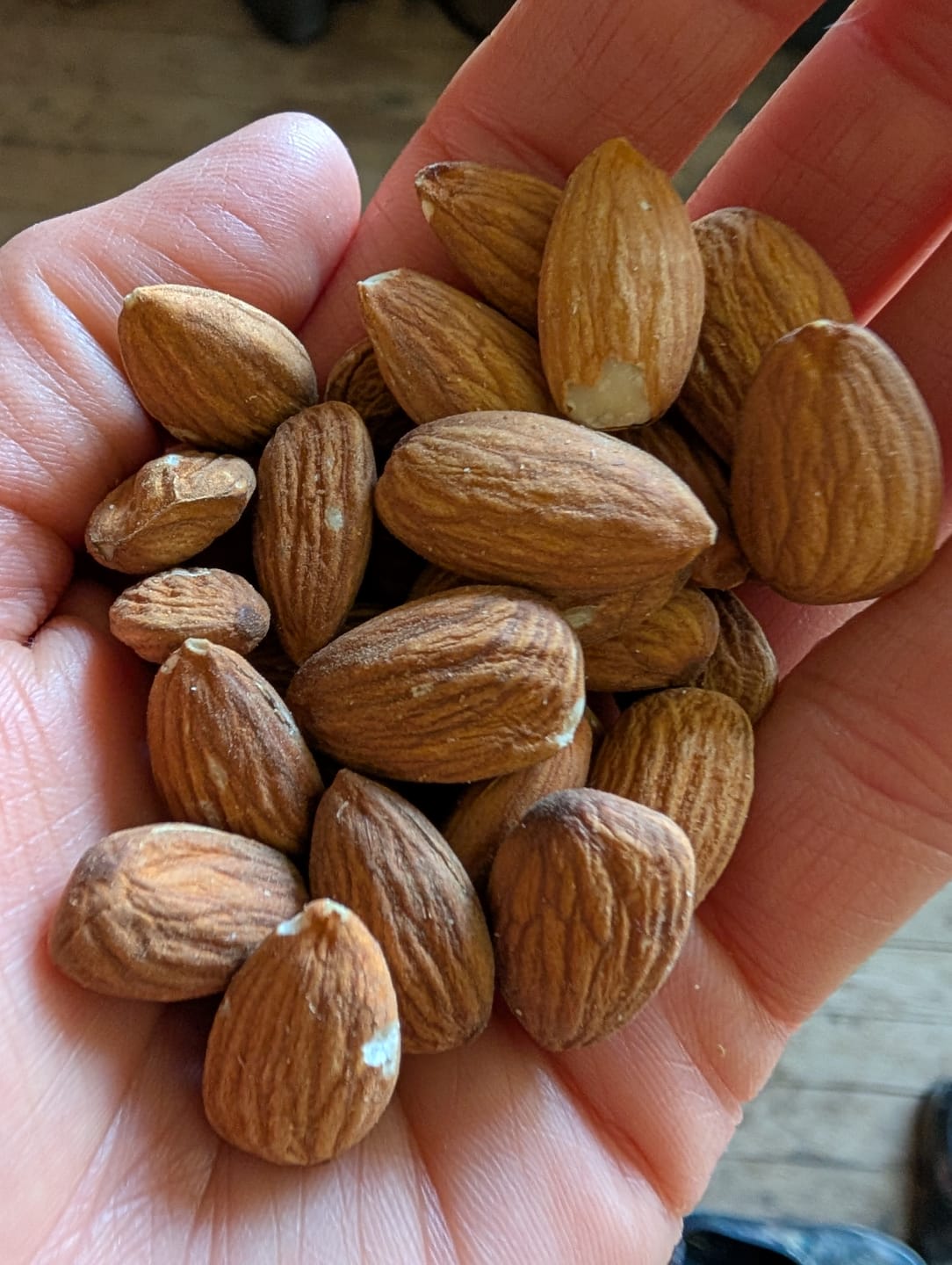 Customer photo review of Truly Raw Regenerative Organic Almonds