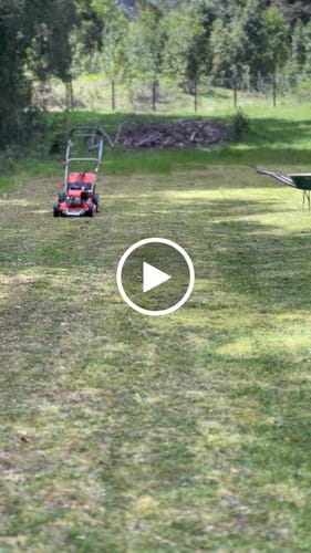 Customer video review of Cortacésped 5.5HP Autopropulsada a Motor Modelo CSvB170a van Beek