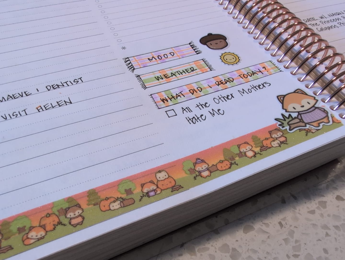 Customer photo review of Autumn Foxes Washi Tape (Set of 2)