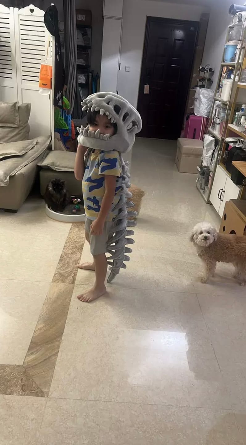 Customer photo review of The Godzilla Snug™