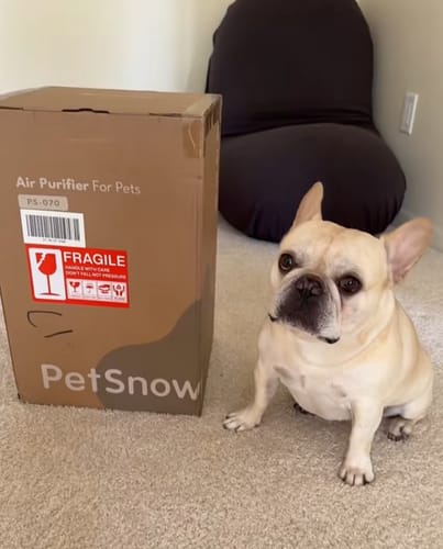 Customer photo review of Pet Air Purifier