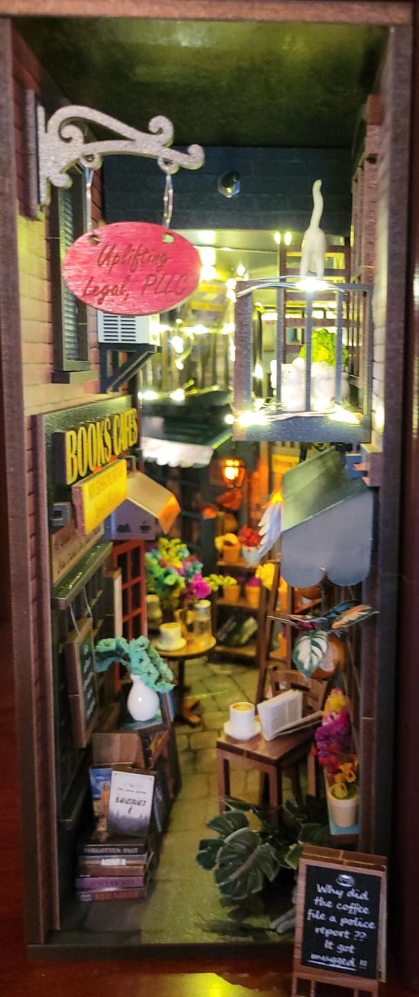 Customer photo review of Dreamy MiniAlley - Booknook DIY kit