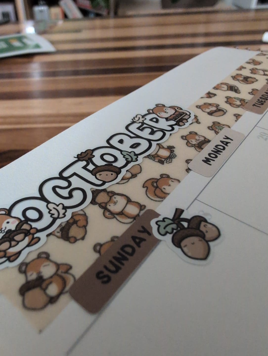 Customer photo review of Squirrelly Acorn Washi Tapes (Set of 2)