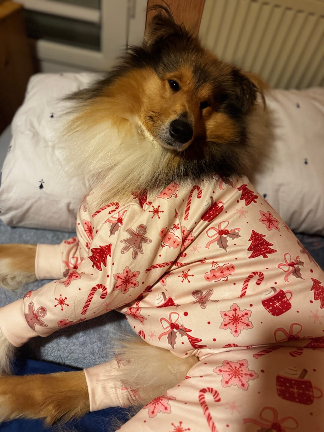 Customer photo review of Dog Christmas Pajama - Candy Cane
