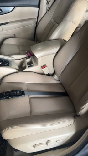 Customer photo review of Pregnancy Safety Belt