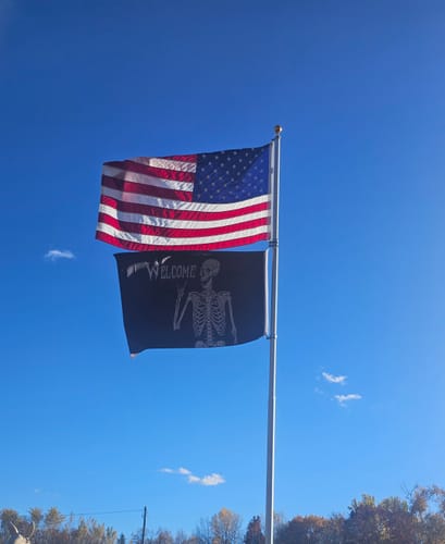 Customer photo review of State of Minnesota Flag - Old Style