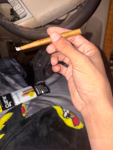 Customer photo review of Ice Cream Cake Littles - Bulk Littles - Indica