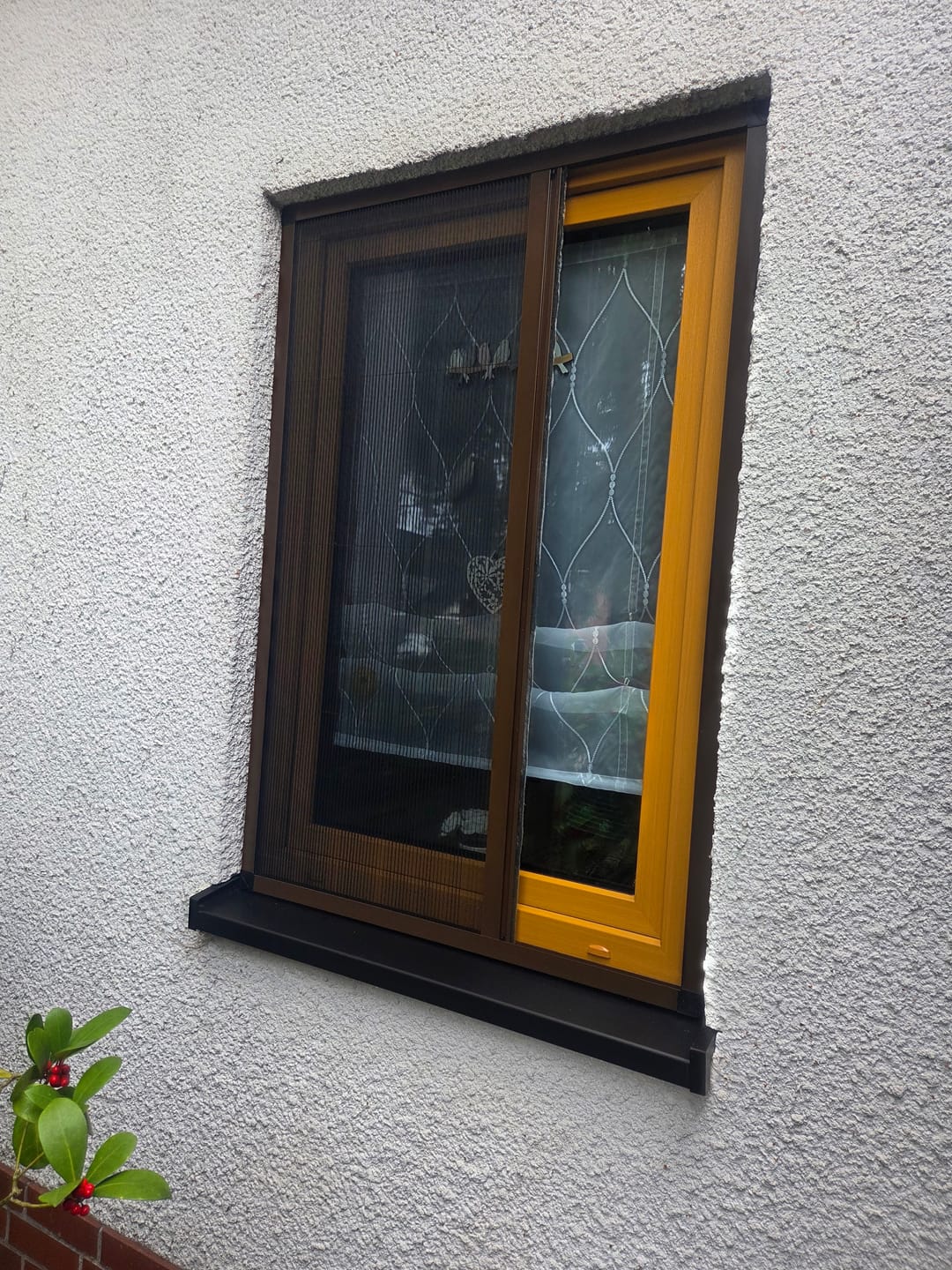 Customer photo review of Fliegengitter zum Schieben