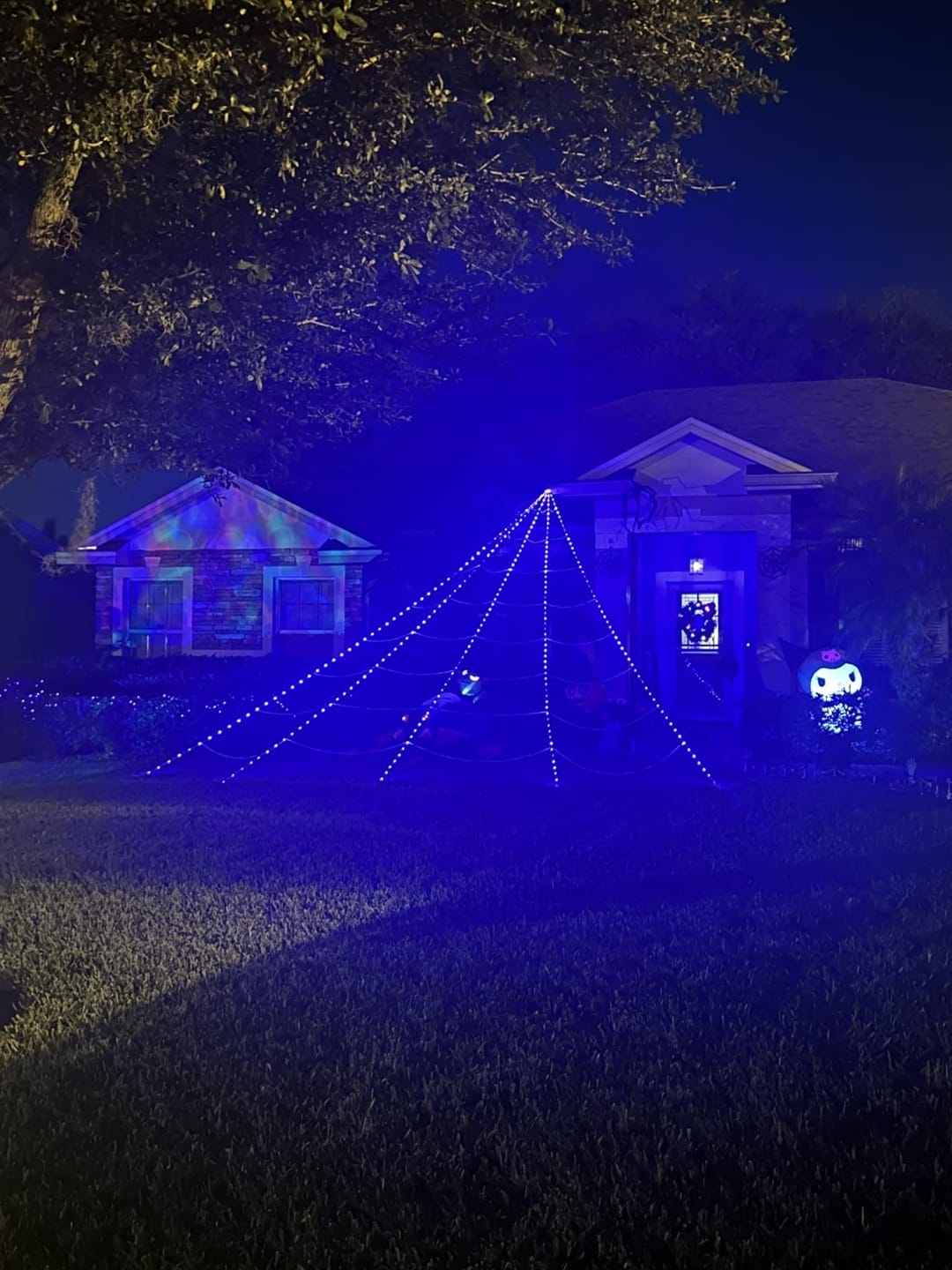 Customer photo review of Halloween Spider Web with 290 LED Lights - Giant Outdoor Spider Decoration with 78.7" Spider