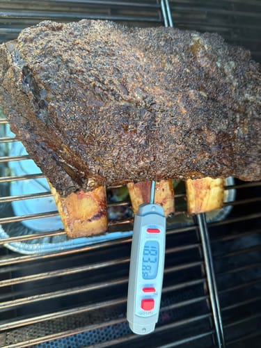 Customer photo review of USDA Choice Bone-In Short Ribs