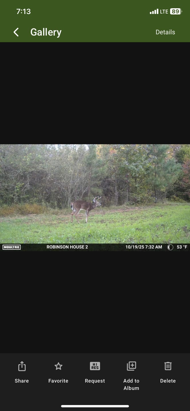 Customer photo review of Forage Factory™