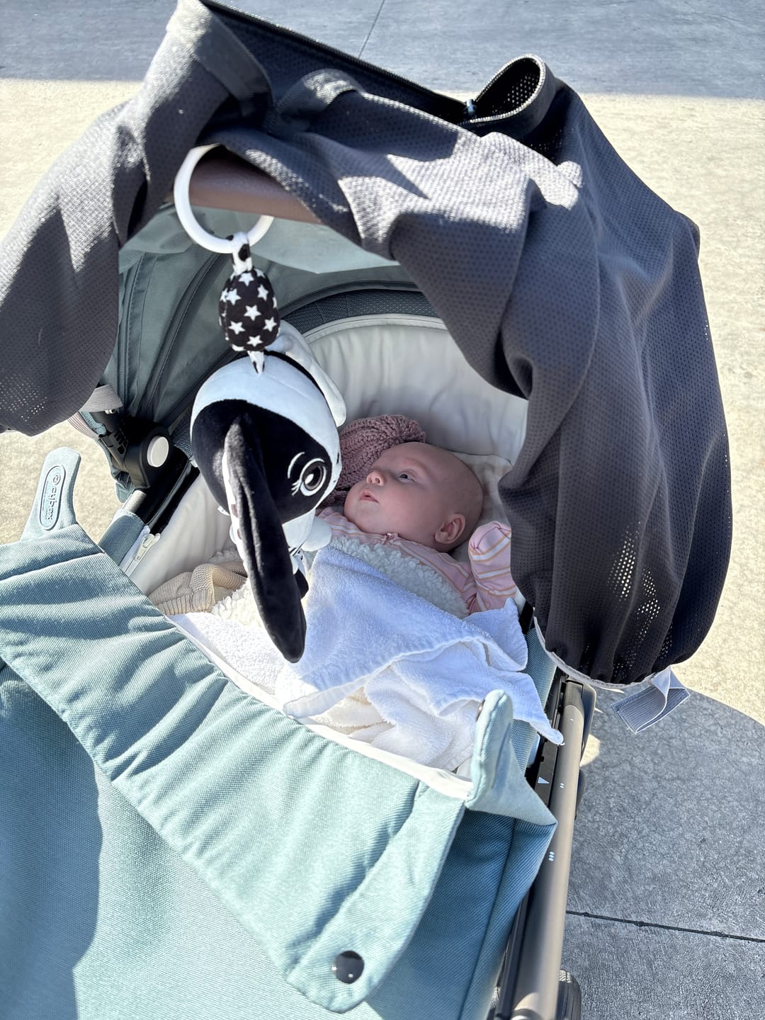 Customer photo review of Billie the Bunny – High Contrast Sensory Hanging Toy