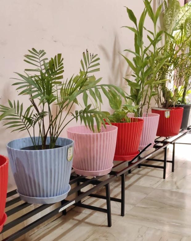 Customer photo review of TryGreen Hexa Metal Pot Stands for Planters