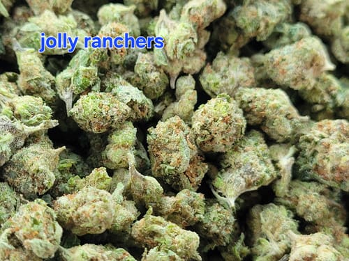 Customer photo review of Jolly Ranchers Minis - Bulk Minis - Indica