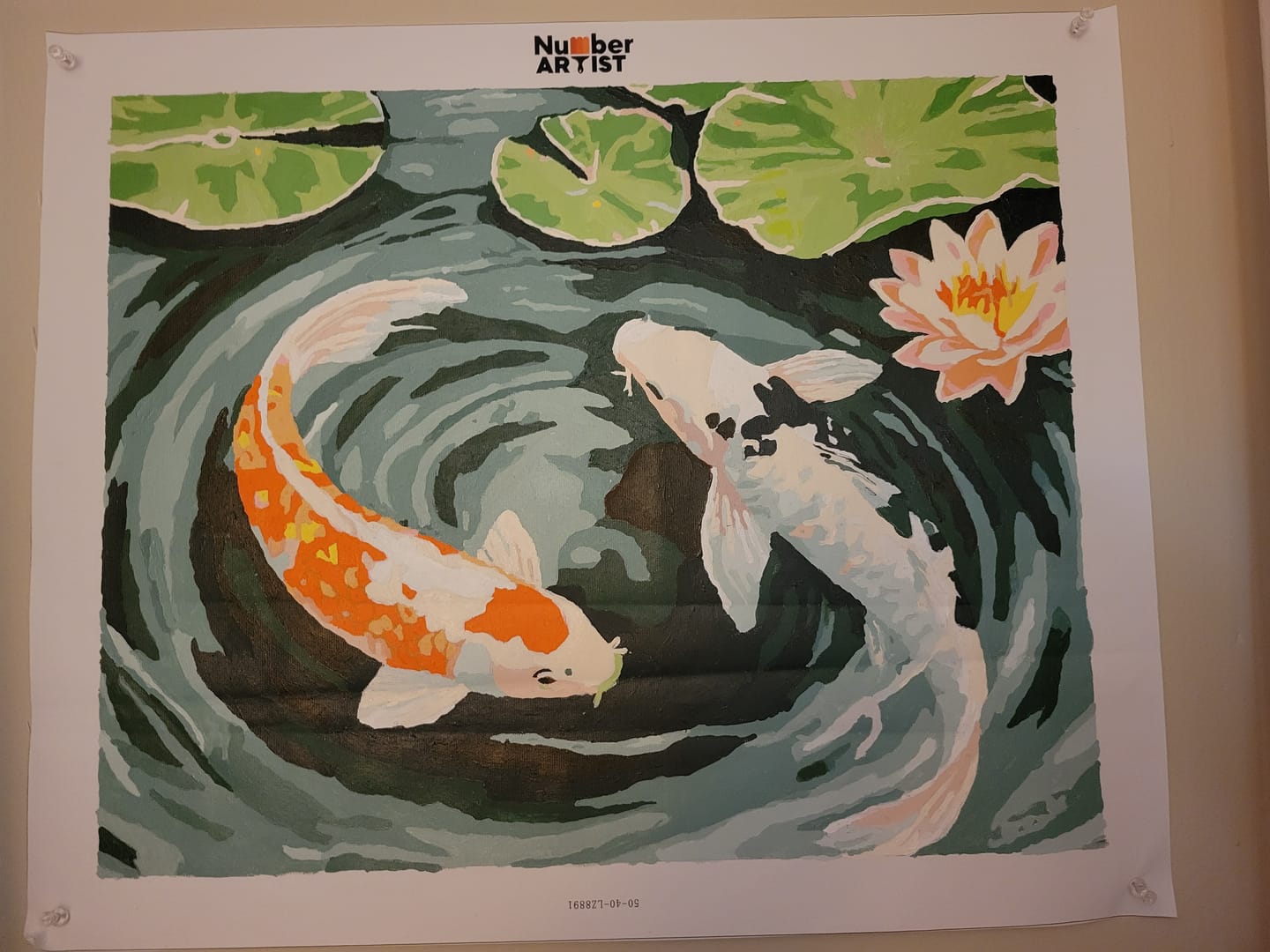 Customer photo review of Koi Harmony