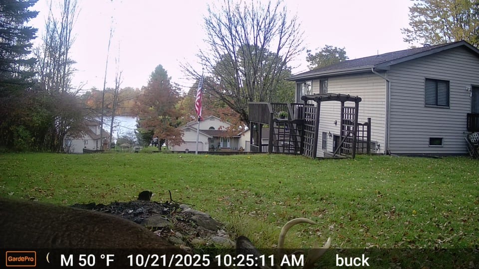 Customer photo review of GardePro X60P Live Max (Cellular)-(USA/CA Model)