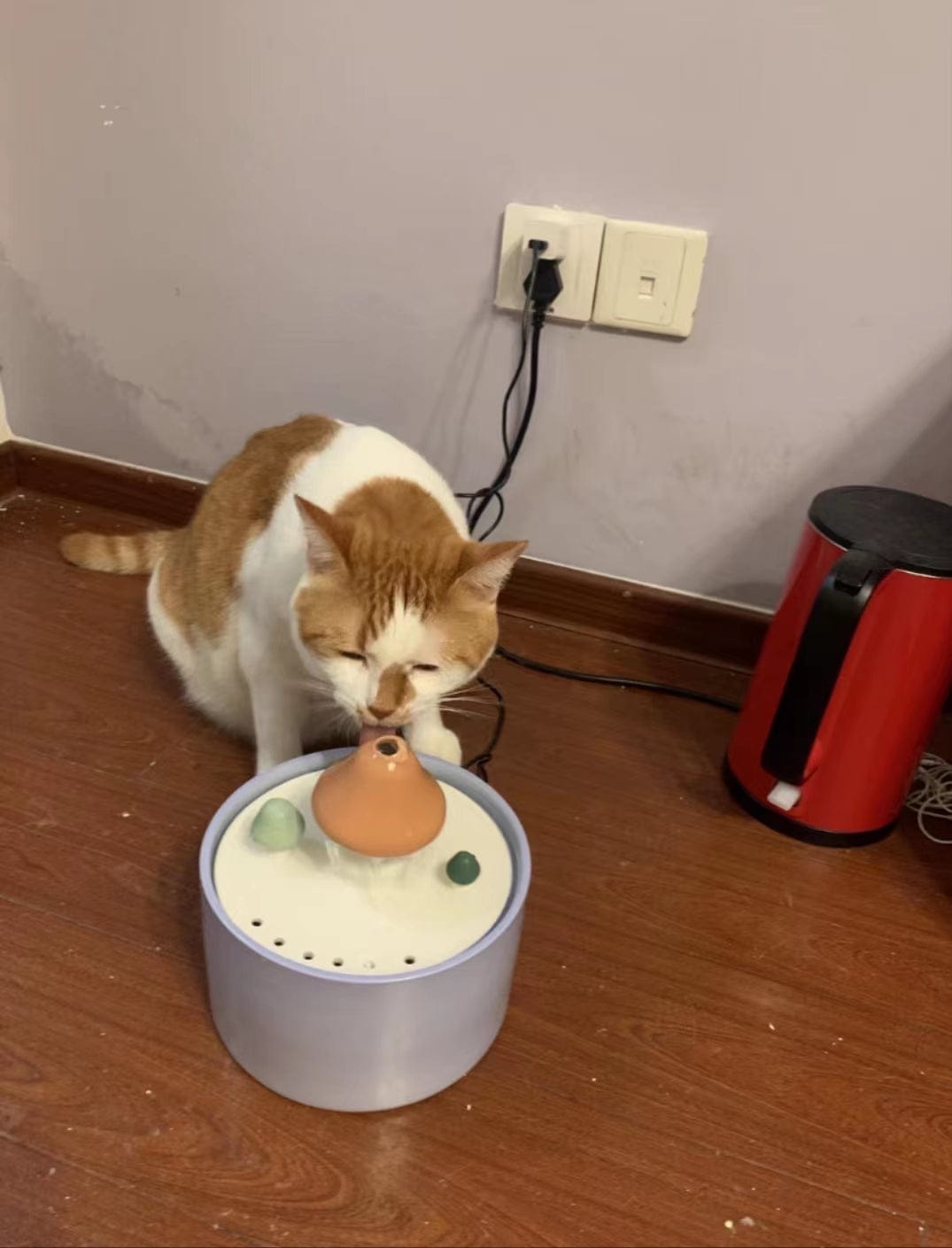 Customer photo review of PurrHaven - Katten Automatisch Keramisch Drinkfontein