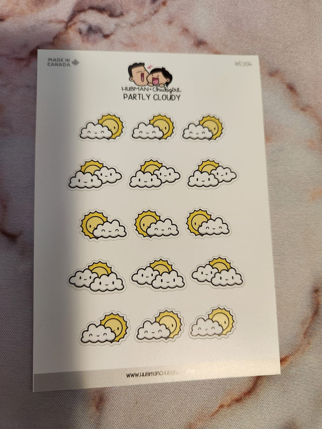 Customer photo review of Partly Cloudy Planner Stickers