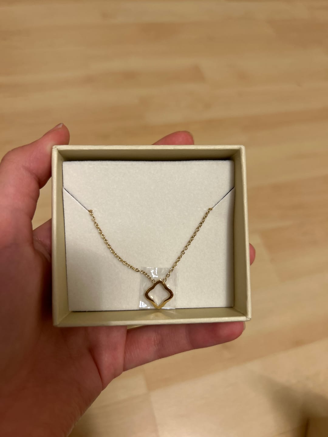 Customer photo review of Fiona Necklace