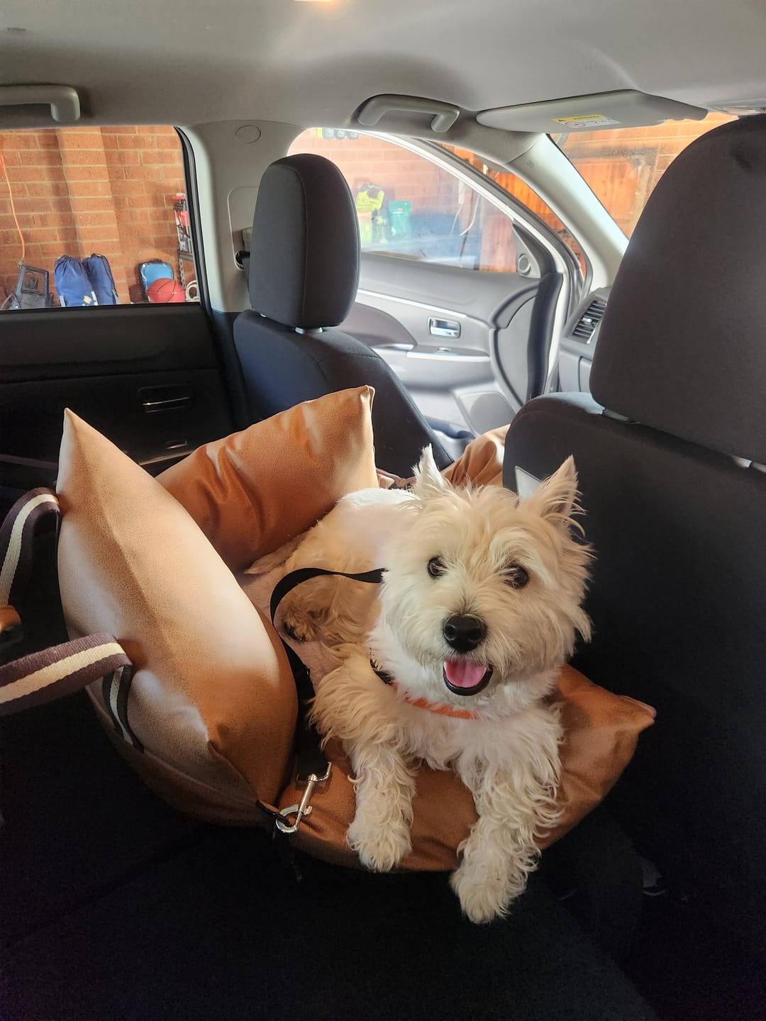 Customer photo review of Boujee Booster