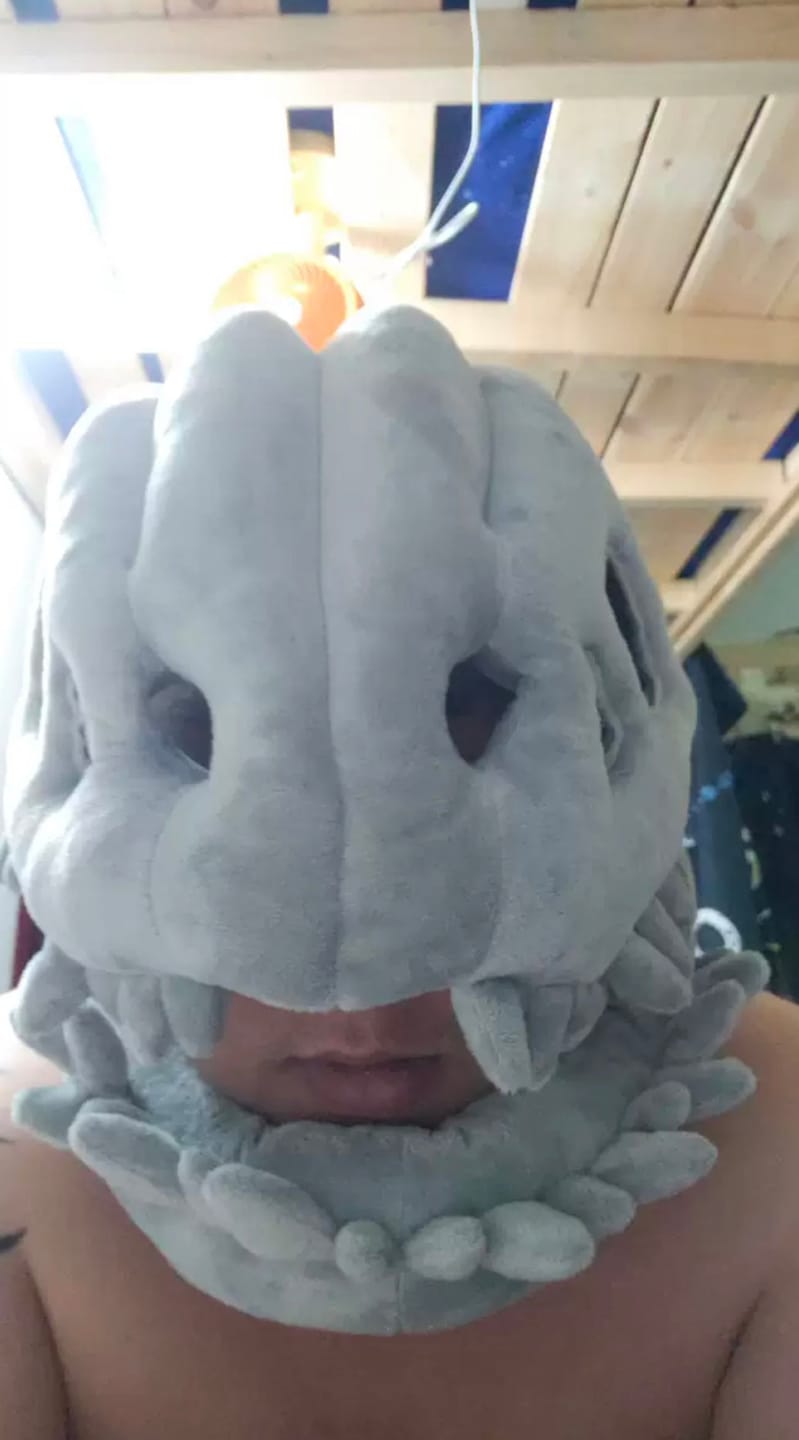 Customer photo review of The Godzilla Snug™