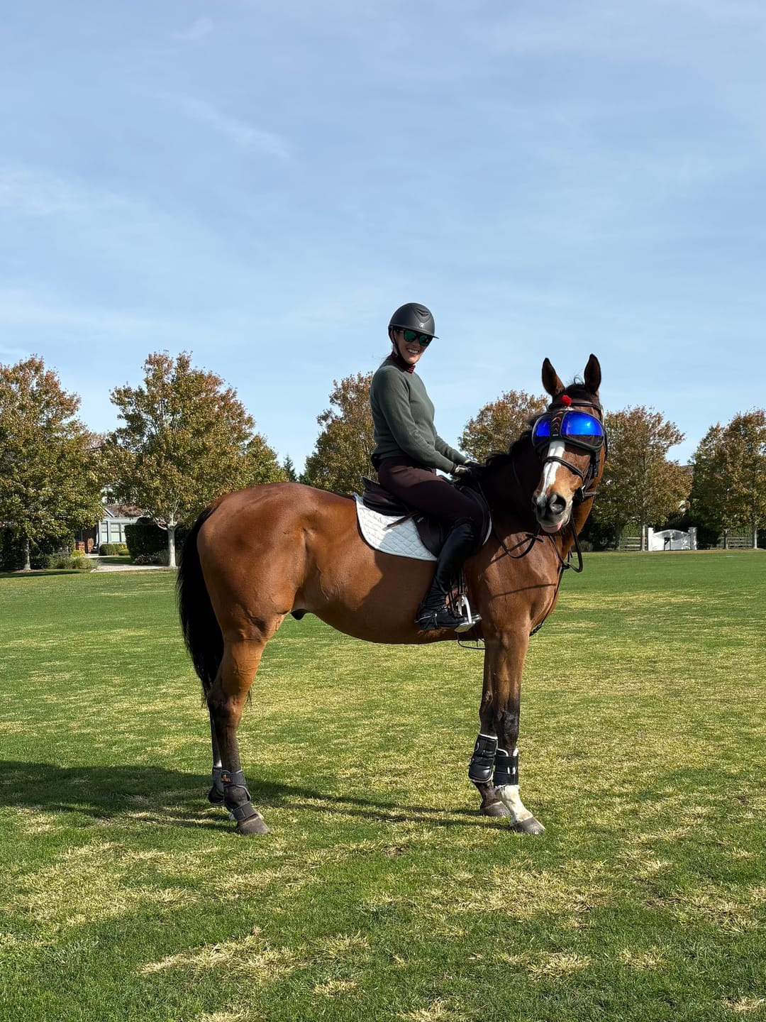 Customer photo review of Replacement Lens for eVysor - UV Horse Riding Goggles!