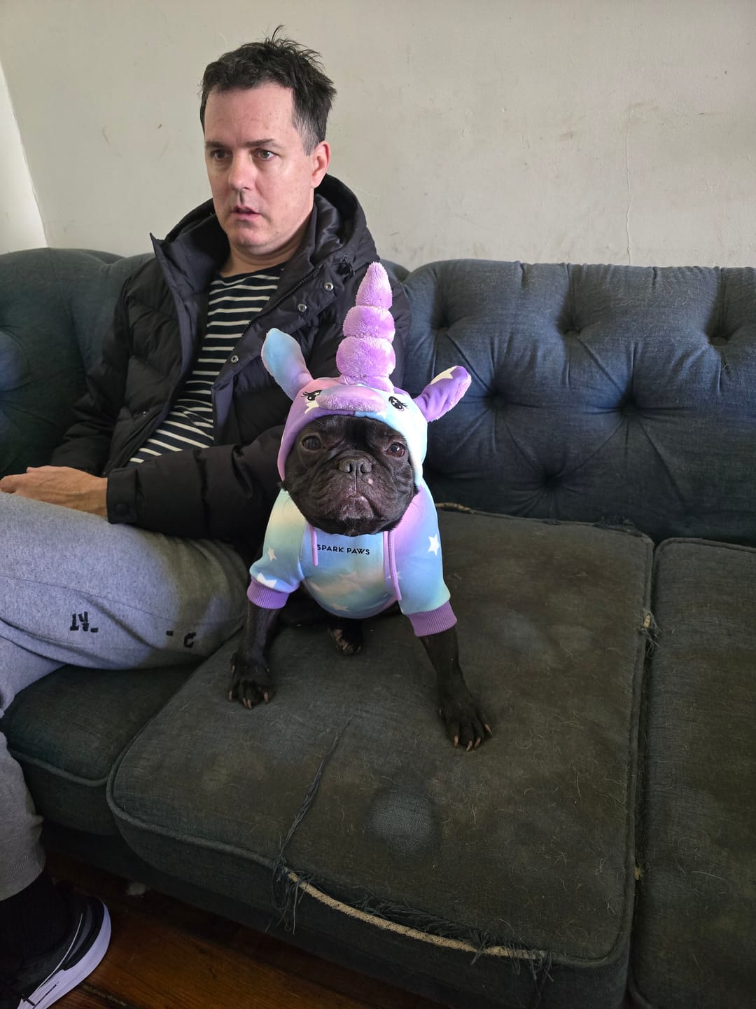 Customer photo review of Halloween Dog Hoodie - Unicorn