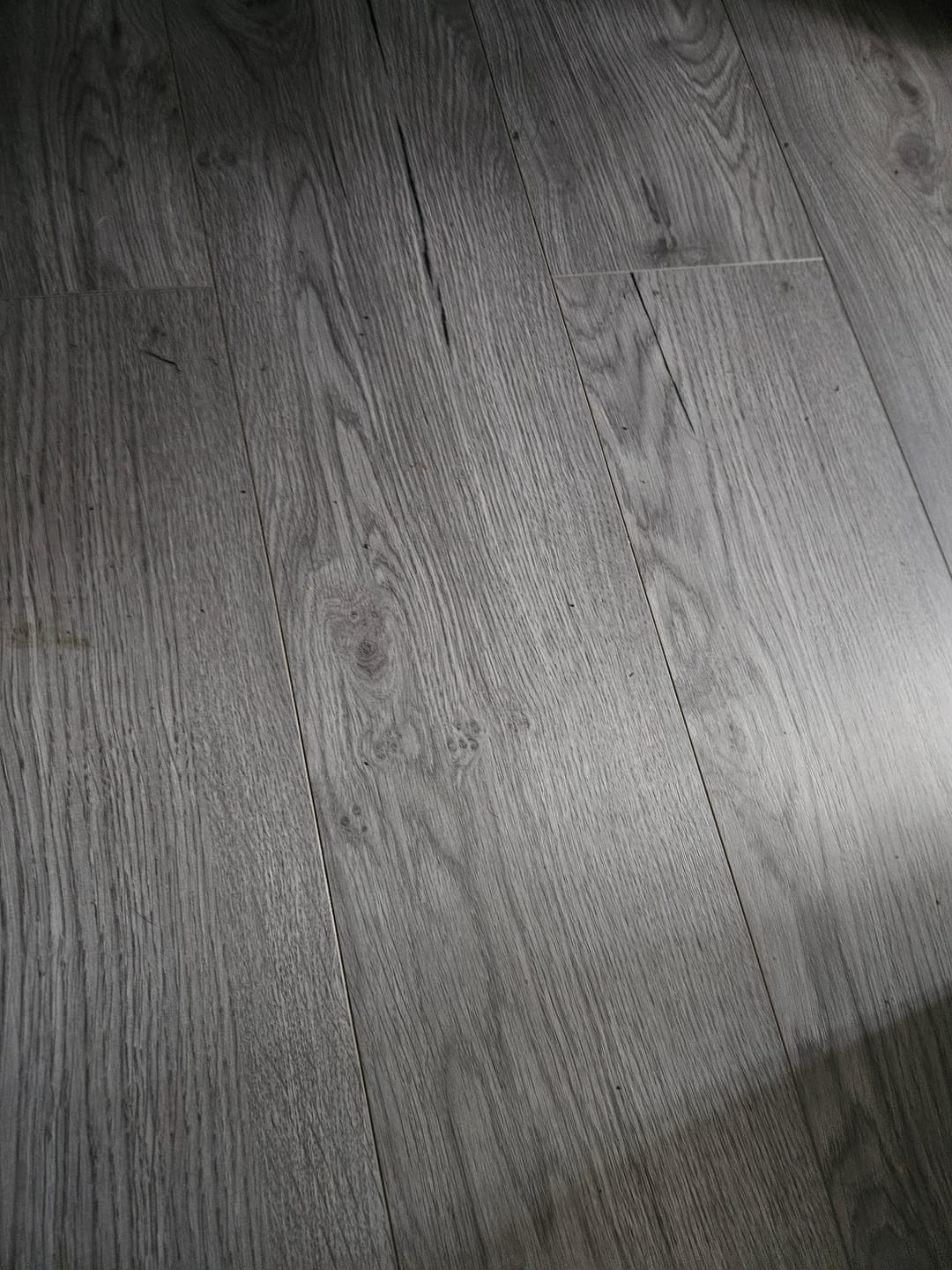 Customer photo review of Genie Floor cleaner