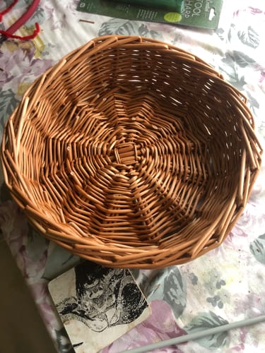 Customer photo review of The Fruit Basket Kit - Course and Kit
