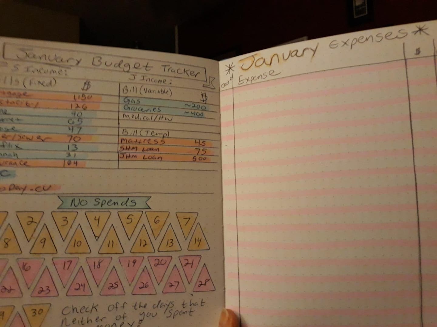 Customer photo review of A5 Classic Light Pink Dot Grid Notebook