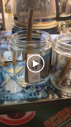 Customer video review of The Dankster Sample Pack