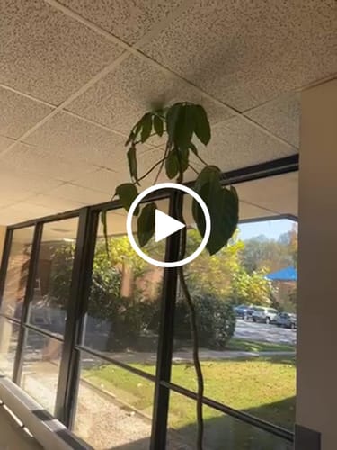 Tammy L. review of Soil Refresh image 1 out of 1