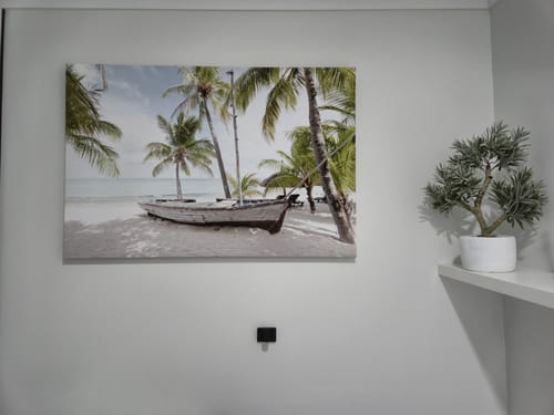 Customer photo review of Beneath the Coconut Trees