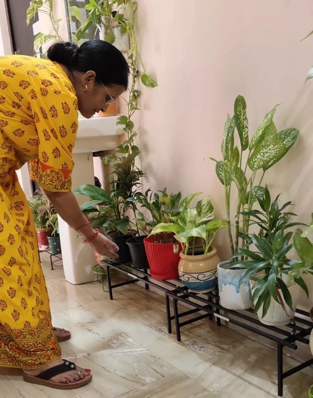 Customer photo review of TryGreen Hexa Metal Pot Stands for Planters