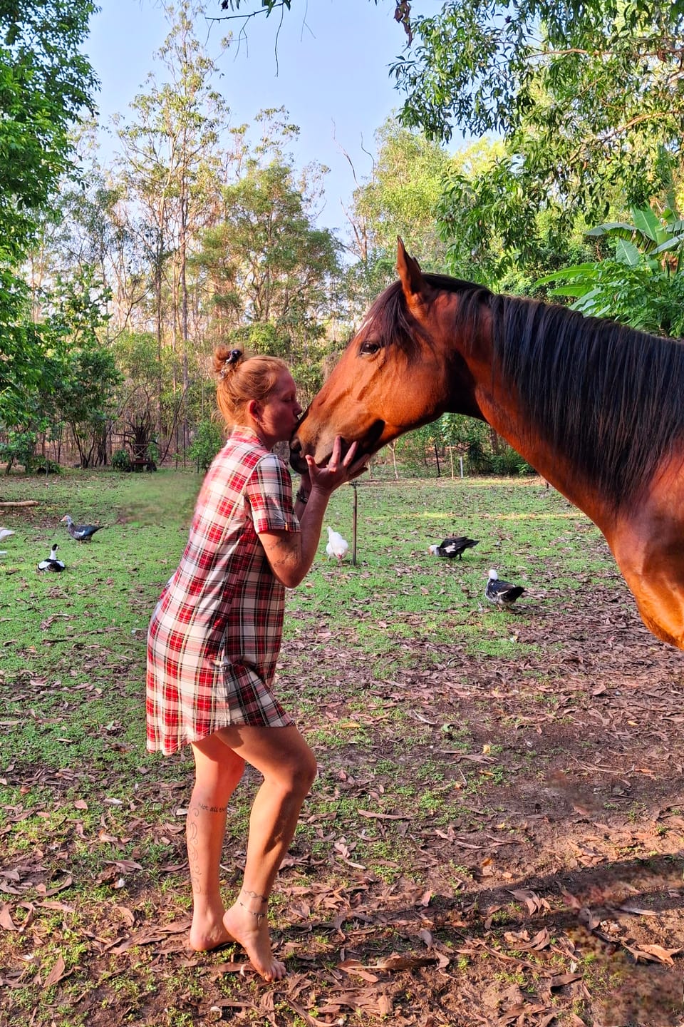 Customer photo review of Short Sleeve Nightie - Plaid