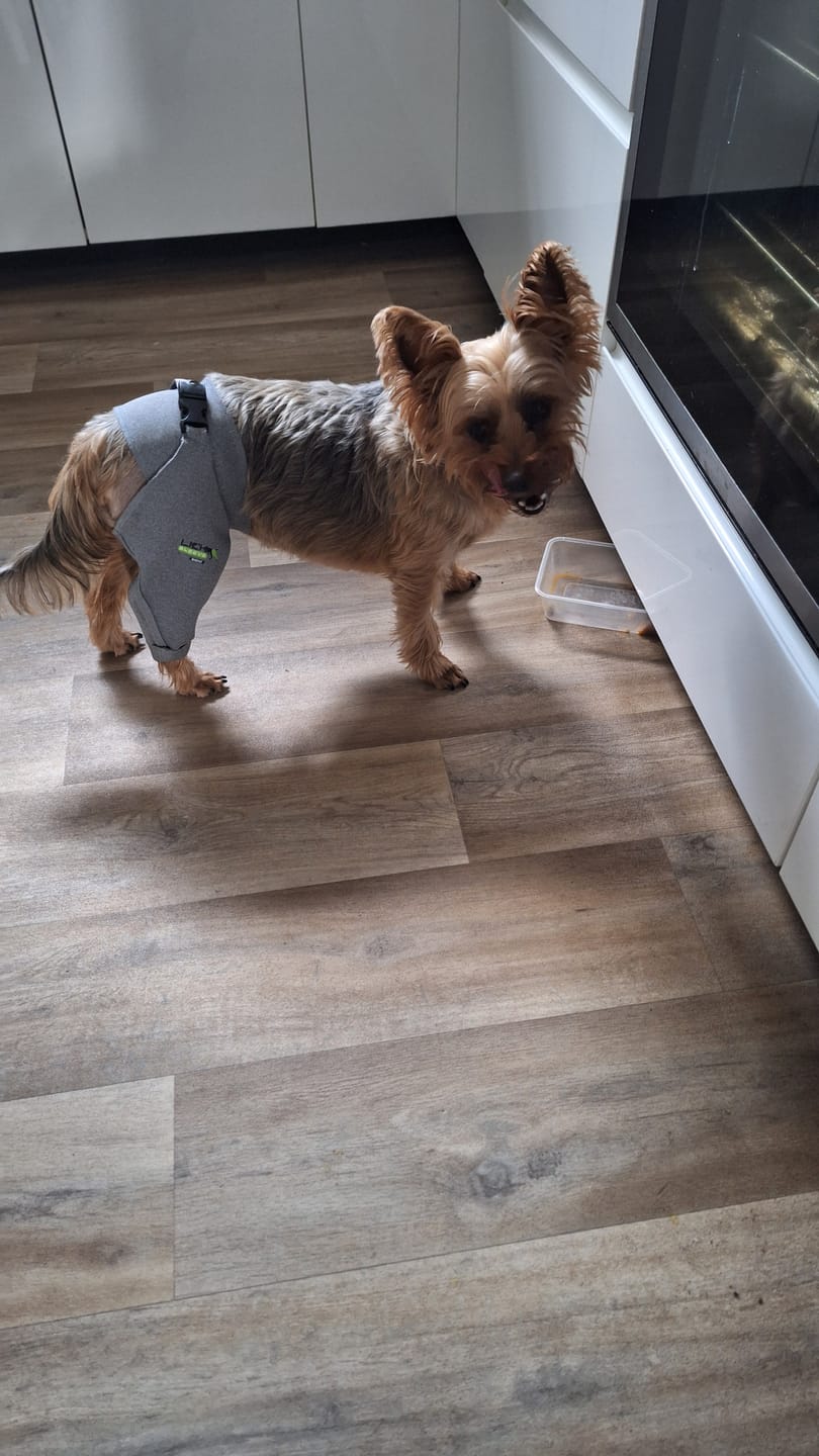 Customer photo review of Lick Sleeve