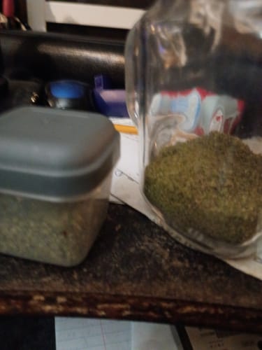 Customer photo review of Purple Urkle THCA Trim