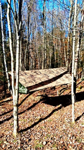 Customer photo review of Haven XL