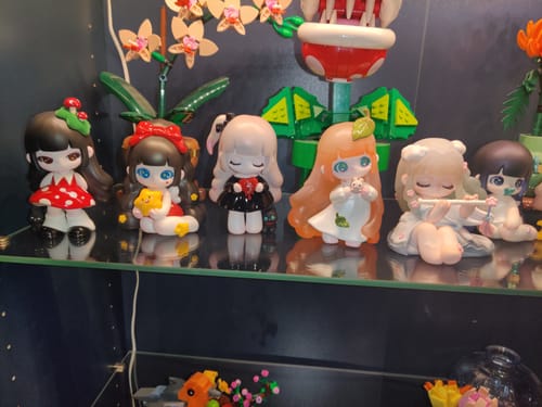 Customer photo review of 【Sale】Liita's Dream Series Blind Box