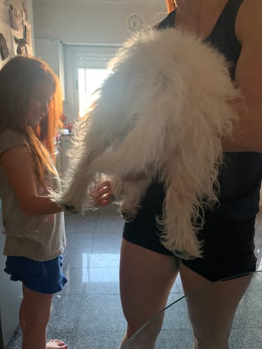 Customer photo review of Probioticos | Fortalecé la pancita y defensas de tu perrito en menos de 30 días