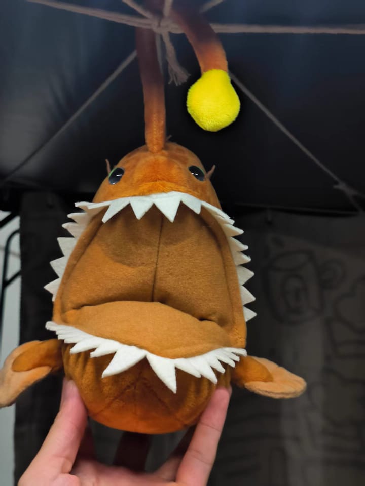 Customer photo review of Realistic Deep-Sea Anglerfish Plush Toy – Soft and Lifelike