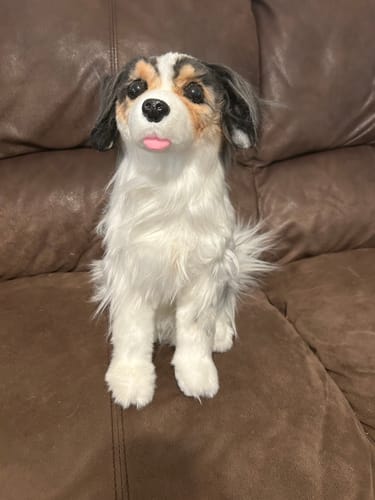 Custom Petslify plush reviewed by LISA L., handmade replica of their pet