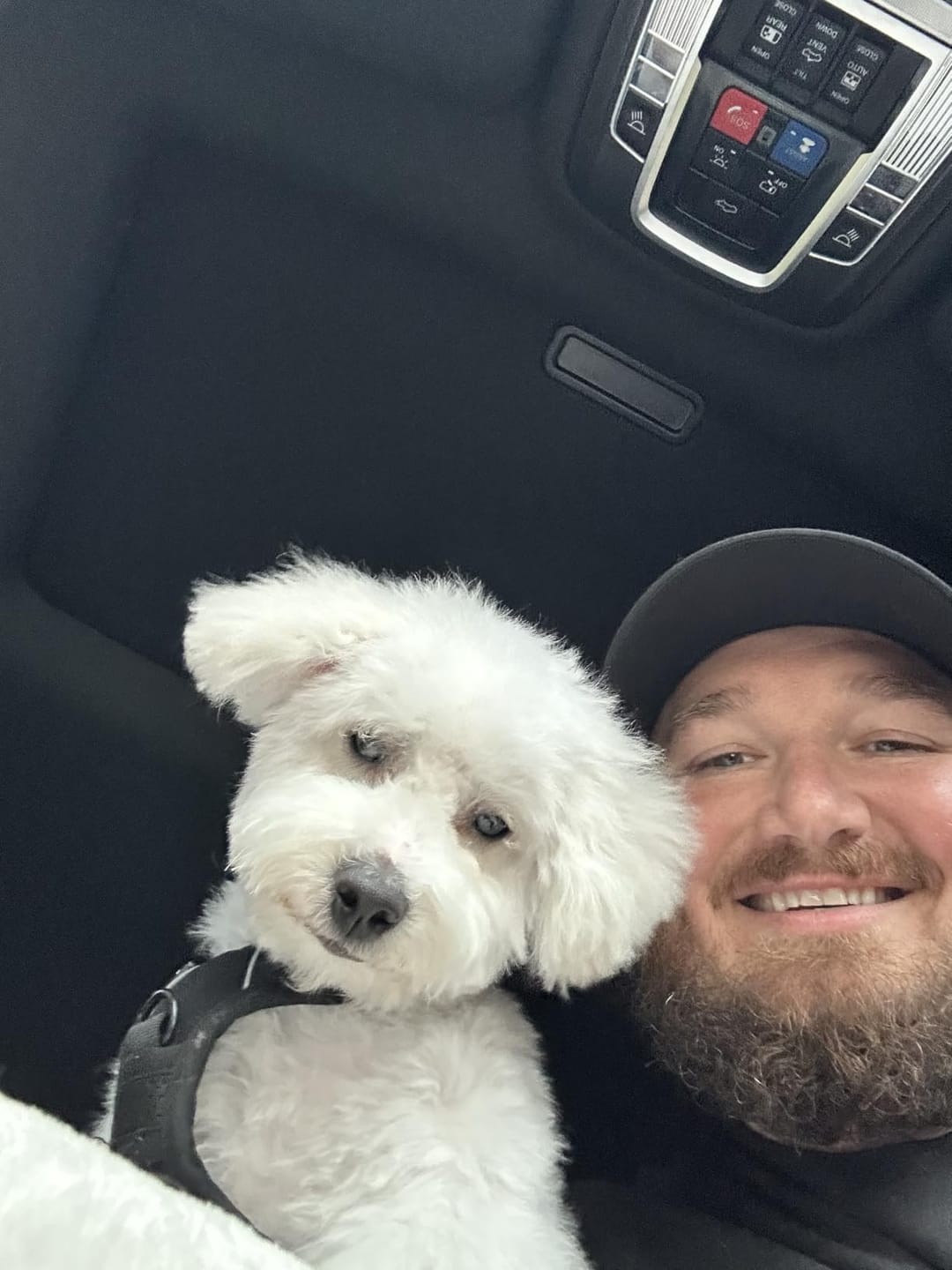 Customer photo review of No-Pull Harness [Free Today]