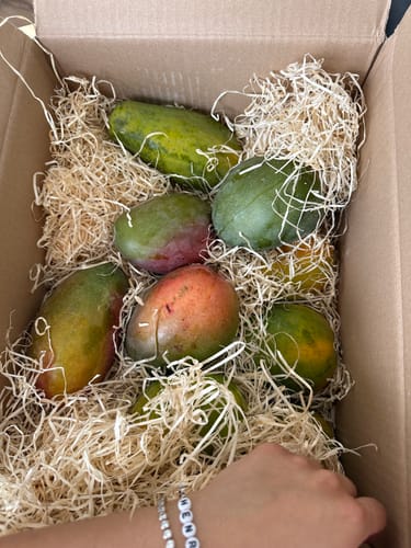 Customer photo review of Papaya Bio von Julian 4,5kg Box Wochenaktion %