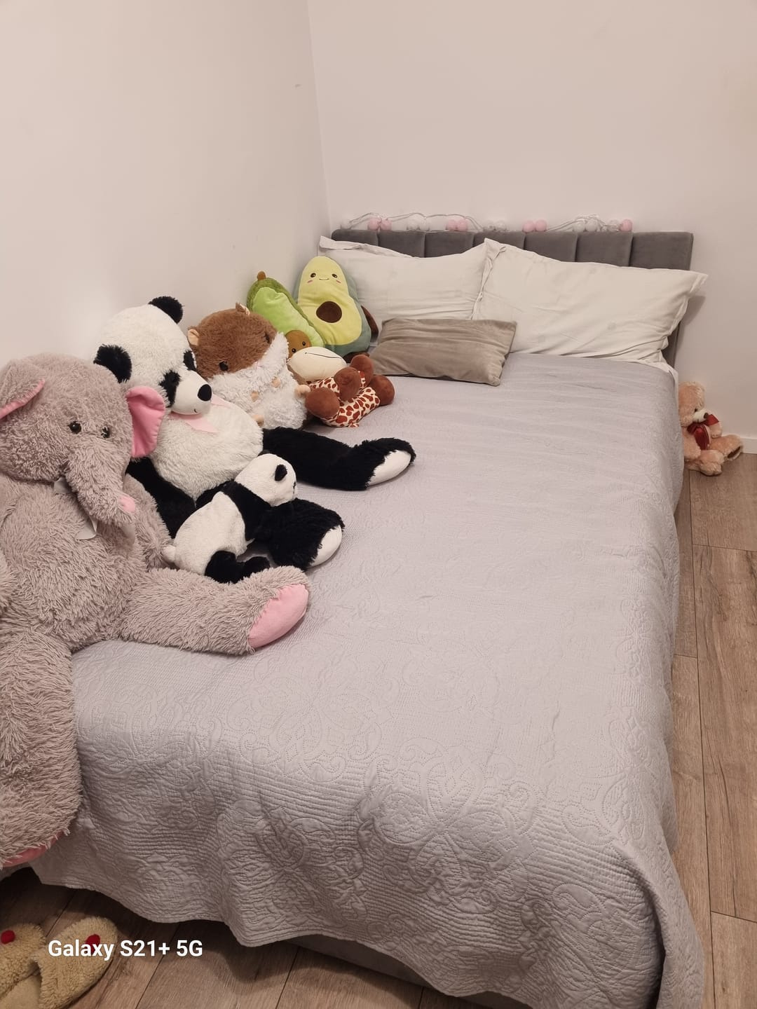 Customer photo review of Pat MONTREAL 120x200, stofa catifelata gri - Tap.192 cu somiera si spatiu depozitare